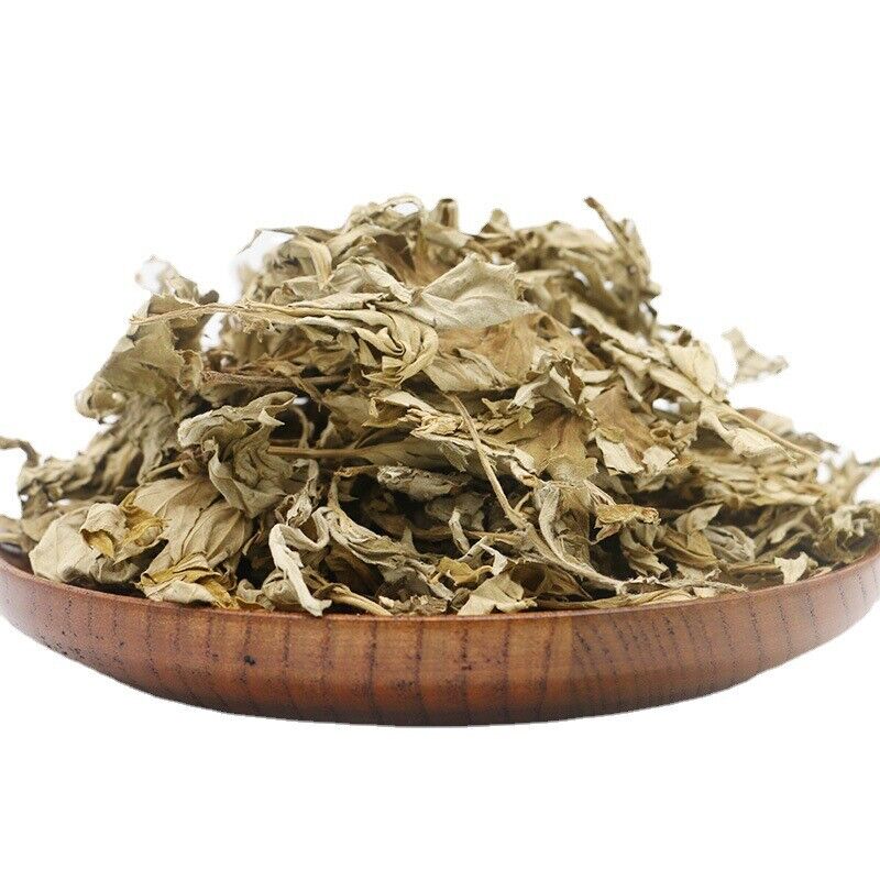 Big Mugwort Leaf Mugwort Leaf Fresh Mugwort Leaf Produce Mugwort Herb 500g/1.1lb Main image