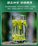 Longjing Green Tea First Flush250g Tin Packaged Fresh Mung Bean Aroma Spring Tea