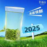 Top Grade Biluochun Pre Qingming New Tea Authentic High Mountain 100g