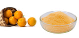 Best Selling Products Orange Fruit Juice Powder Freeze Dried Orange Powder 250g
