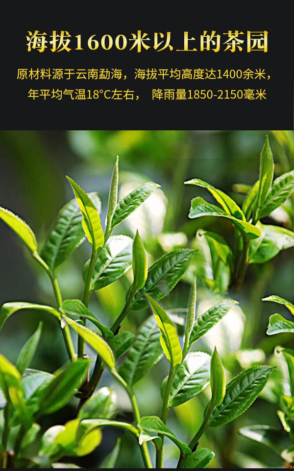 250g Menghai early spring honey fragrance Dian Hong tea leaves bagged black tea