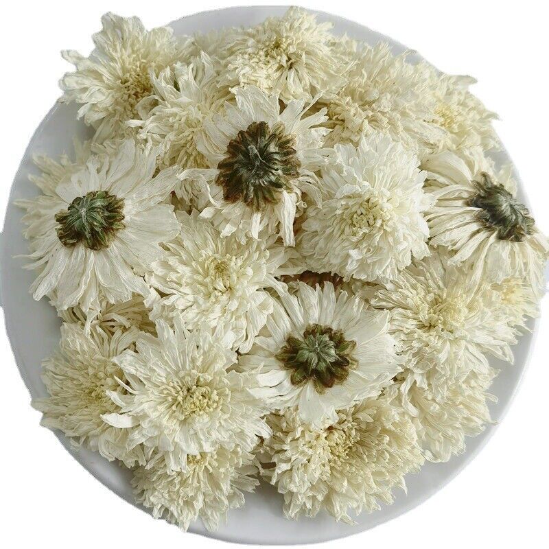 White Chrysanthemum Huangshan Chrysanthemum July Chrysanthemum Tribute 17.6oz