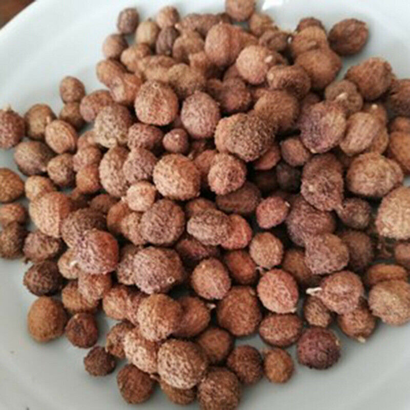 100g Chun Sha Ren Spring Sandnut Dried Fruit Healthy Herbal Tea 煲汤泡茶 泡酒养胃养生茶调理肠胃 Secondary image