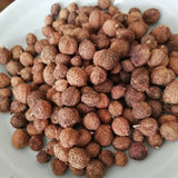 100g Chun Sha Ren Spring Sandnut Dried Fruit Healthy Herbal Tea 煲汤泡茶 泡酒养胃养生茶调理肠胃