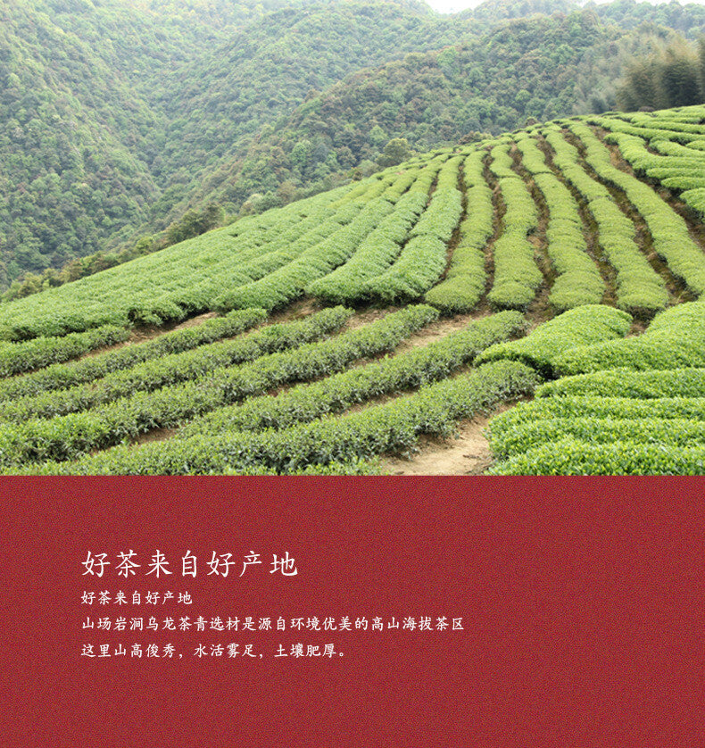 Rougui Cinnamon Medium Roast Floral Loose Leaf Fujian Oolong 250G Wuyi Rock Tea