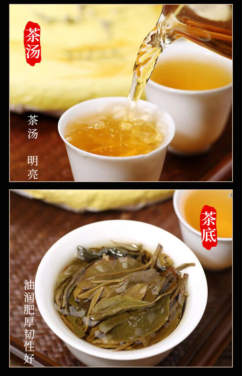 Yunnan Tea Yiwu One Fan Mill 357g Gushu Pu'er Raw Tea Cake