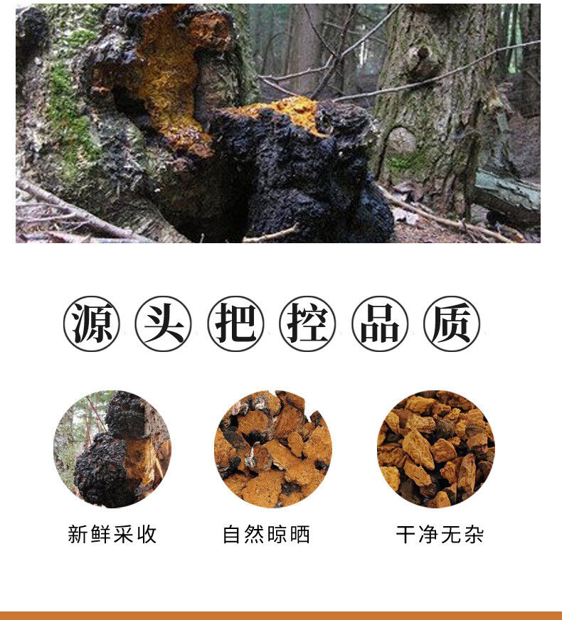 Premium Chaga Mushroom Tea Natural Unsulphured Health Drink for Wellness
