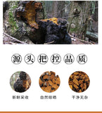 Premium Chaga Mushroom Tea Natural Unsulphured Health Drink for Wellness