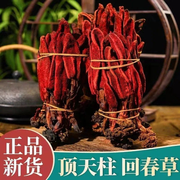 Rejuvenation Herb Tea Dingtianzhu Amaranth Cistanche and Ageless Grass Men's Tea