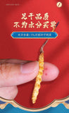 Cordyceps Sinensis Plump and Non-breaking Grass 4 Pieces/g Dong Chong Xia Cao