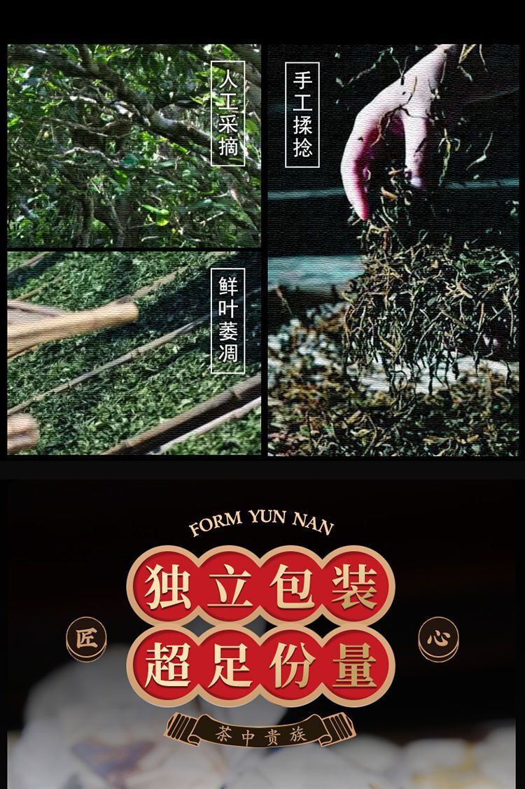 Puer Longzhu Yunnan Ancient Tree Old Banzhang Puer Raw Tea