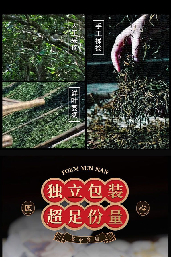 Puer Longzhu Yunnan Ancient Tree Old Banzhang Puer Raw Tea