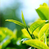 Authentic Honey Aroma Black Yellow Bud Special Grade Jin Jun Mei Wuyi Black Tea