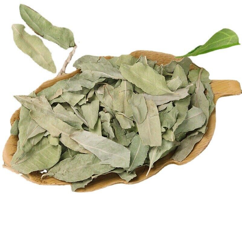New Robitussin Robitussin Leaf Robitussin Tea Produce 500g