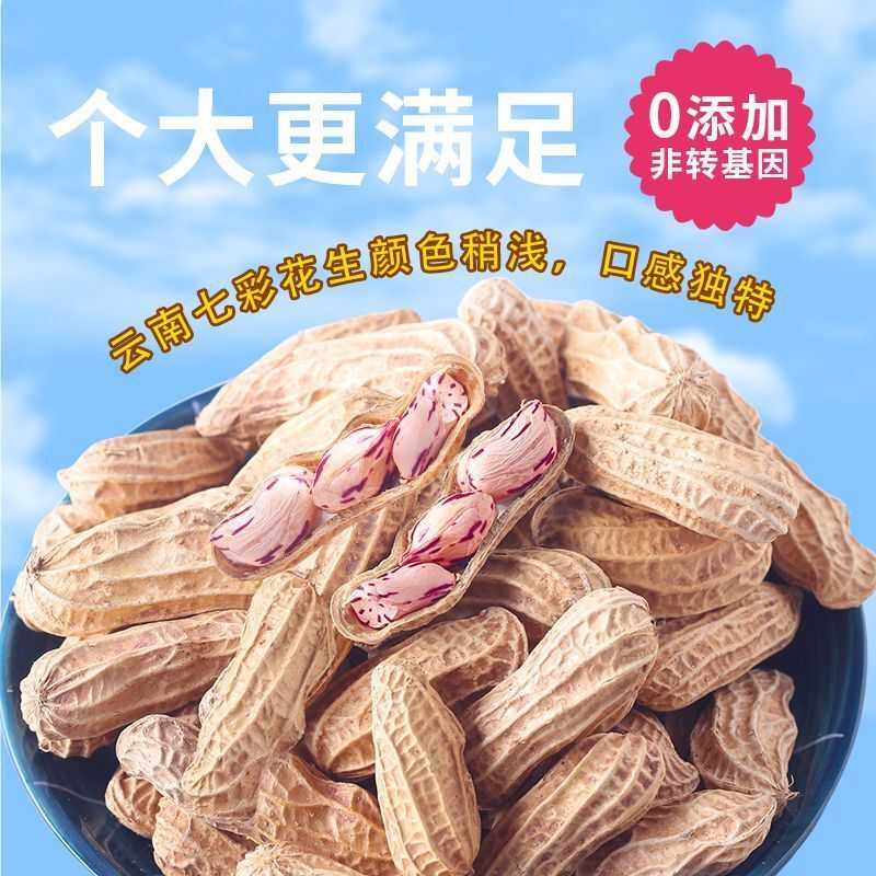 Yunnan Colorful Roasted Peanuts - Whole Peanuts Snack Main image