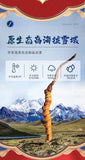 Cordyceps Sinensis Plump and Non-breaking Grass 4 Pieces/g Dong Chong Xia Cao
