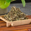 Organic Herba Elsholtziae, Herba Moslae, Chinese Moslae Herb, Xiang Ru 500g
