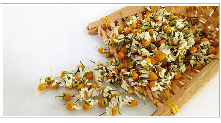 Chamomile new chamomile dried flowers chamomile petals froth flowers crushed