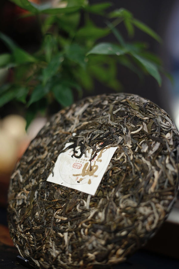 357 Yunnan Pu'er Tea Menghai LaoBanzhang Pure Material Classic Banzhang Raw Tea
