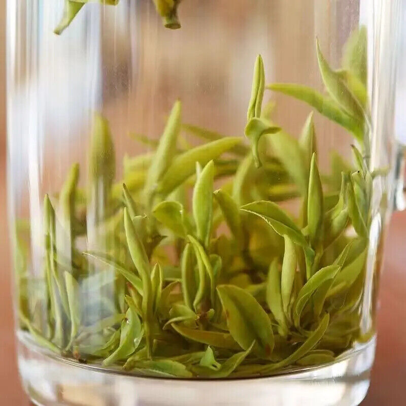 Premium Chinese Anhui Green Tea High Mountain Yellow Gold Tea Maofeng Green Tea