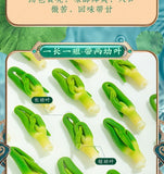 Lotus Seed Heart Selected Lotus Plumule Gesundheitstee Kräutertee 100g