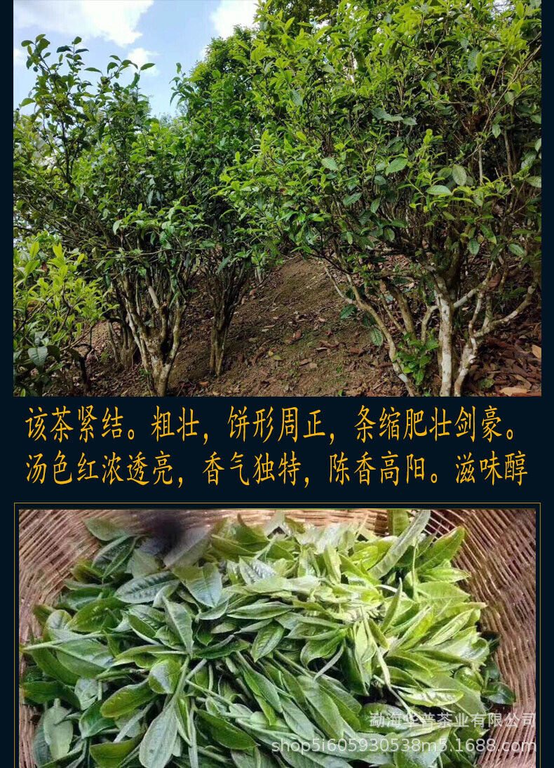 Pu'er Tea Ancient Tree Fermented Ripe Tea Palace 357g Pu'er Ripe Tea Cake