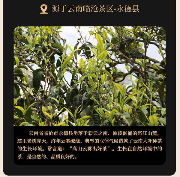 Puerh Ripe Tea Golden Bud Palace Sevenseed Cake Aged Aroma Ripe Pu Tea Cake 357g