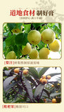 Loquat Autumn Pear Paste Refreshing and Soothing Relieve Throat Discomfort 130g