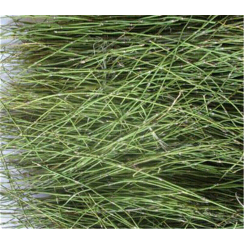 Classical Ma heng Green Tea Natural Muhueng Tea Health Care Herbal Tea