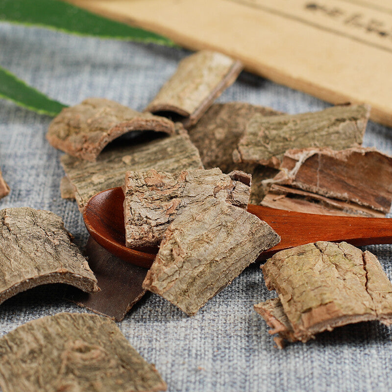 Chinese Herbal Material Herbs Tea Top Cortex Eucommia Bark Du Zhong