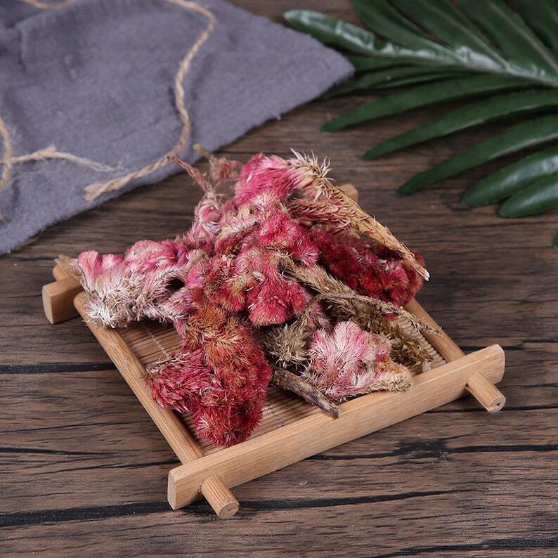 Organic Herbal Red Cockscomb Flower Flos Celosiae Cristatae Ji Guan Hua Secondary image