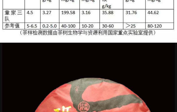 Yunnan Pu'er Banzhang Mother Tree First Spring Pu'er Raw Tea 357g Cake Tea