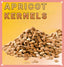 Premium Grade  Organic Apricot Kernels Raw