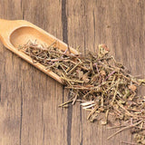 Organic Herbal Veronica Peregrina Great Quality