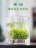 Early Spring Xin Yang Mao Jian Green Tea Handmade Loose Maojian Green Tea 250g