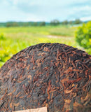 357g Old Panzhang Pu'er Ripe Tea Cake Menghai Aged Pu'er Tea Cake HongJinYin