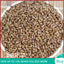 500g Cassia seeds tea new product cooked cassia seeds tea bulk herbal tea