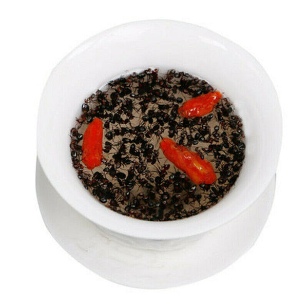 Bai Shan Mountain Black Ant Vic Roger Polyrhachis 500g Premuim China Wild Chang
