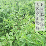 Mesona chinensis leaf, Herba Chinese Mesona leaf, Herb Mesona Liang Fen Cao 500g