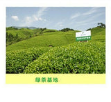 Fresh Biluochun Tea Natural Original Green Tea Organic Herbal Healthy Drink 250g