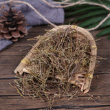 Herbe séchée de thé sain à barbe bleue à trois fleurs Caryopteris Terniflora