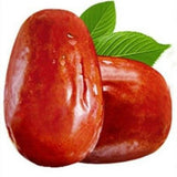 250g Dried Fruit Red Dates Organic Spring Jujube Herbs Green Food