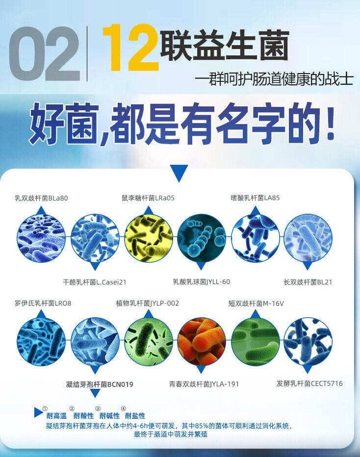 ZhenYan Probiotic Lyophilized Powder Strain Live Bacteria 60g