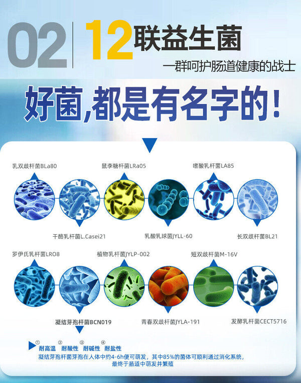 ZhenYan Probiotic Lyophilized Powder Strain Live Bacteria 60g