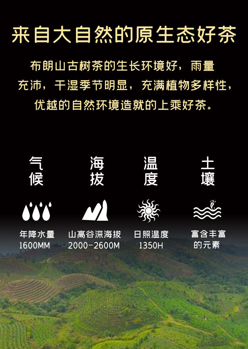 250g Brown Mountain Tuo Tea Yunnan Pu'er Tea Wholesale Tea Pu'er Raw Tea