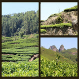 Da Hong Pao Oolong Tea 250g Big Red Robe