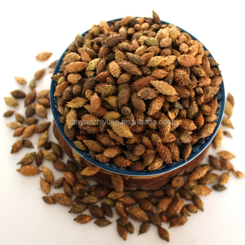 100% Pure Siberian Cocklebur Fruit  / Xanthium Sibiricum Herbs 250g