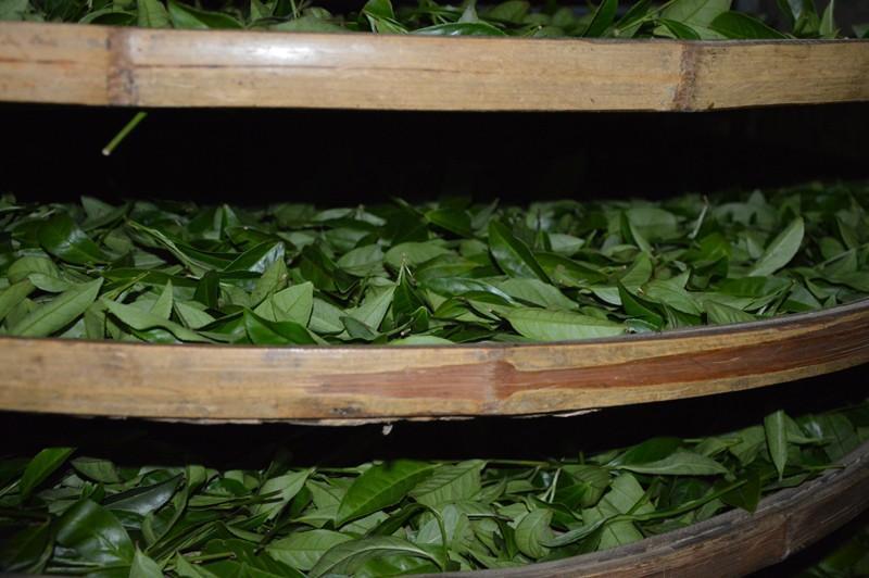 Top Grade Oolong Tea TieGuanYin Tea Organic Natural Health Care Product250g