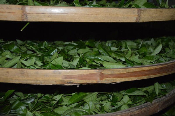Top Grade Oolong Tea TieGuanYin Tea Organic Natural Health Care Product250g