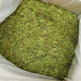 2023 New Tea Longjing Tea Fried Green Green Tea Strong Aroma 500g/1.1lb